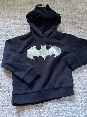 Batman Black Hoodie with Silver Bat Logo